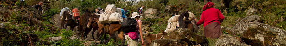 Annapurna Sanctuary Trail