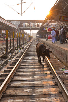 Auf dem Bahnhof von Varanasi