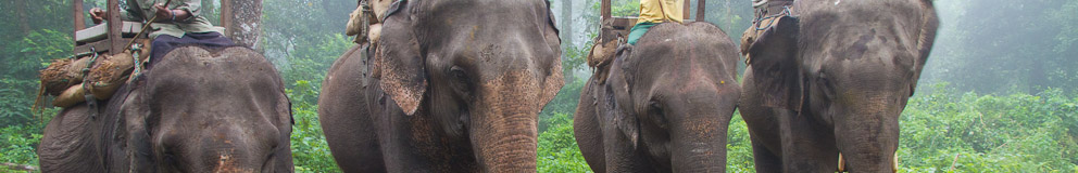 Chitwan National Park