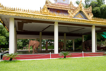White Elephant Garden