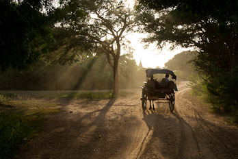 Horse Car