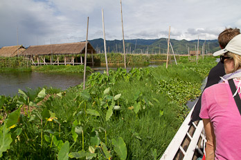 Floating Gardens