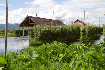 Floating Gardens