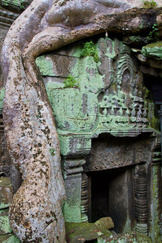 Ta Prohm