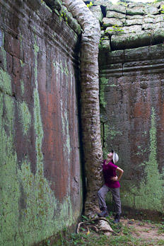 Ta Prohm