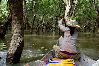 Versunkener Wald von Kompong Pluk