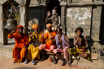 "Moneytation"-Sadhus