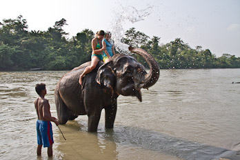 Elephant Bathing