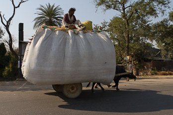 Auf der Strasse zwischen Agra und Delhi