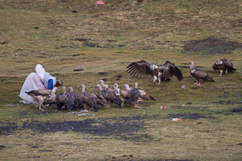 Sky Burial