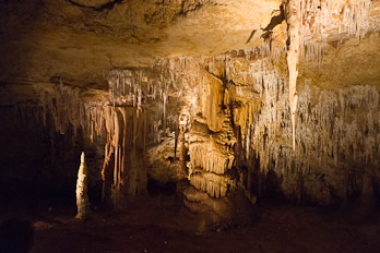 Alexandra Höhle